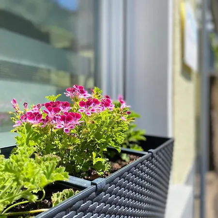 Apartment Haus Bella